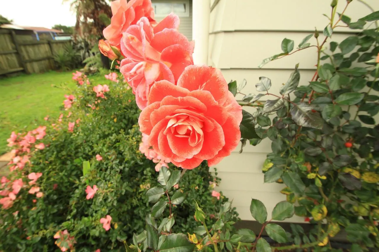 Honey Pai Cottage Rotorua Holiday home